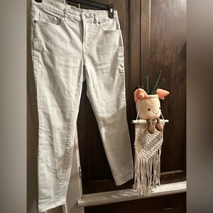 NWOT- Everlane size 29R- mid rise skinny jeans- white